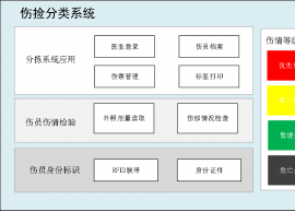 輻射傷情標(biāo)識(shí)系統(tǒng)